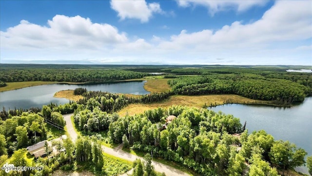 L7 W Erika Dr, Big Lake, AK 99654 - photo 12