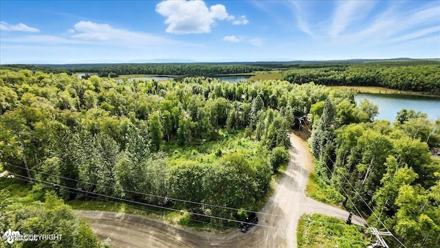 L7 W Erika Dr, Big Lake, AK 99654 - photo 5