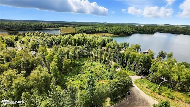 L7 W Erika Dr, Big Lake, AK 99654 - photo 13