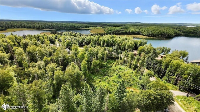 L7 W Erika Dr, Big Lake, AK 99654 - photo 14