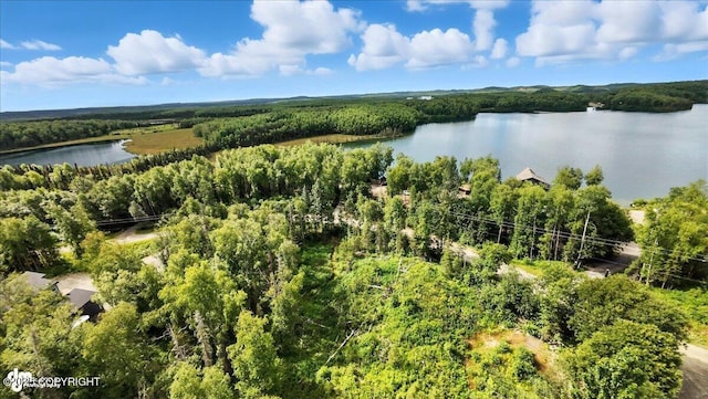 L7 W Erika Dr, Big Lake, AK 99654 - photo 16