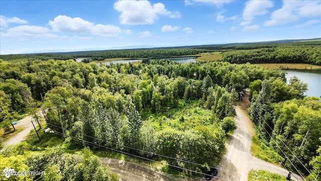 L7 W Erika Dr, Big Lake, AK 99654 - photo 17