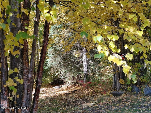 24121 Hearthstone, Chugiak, AK 99567 - photo 3