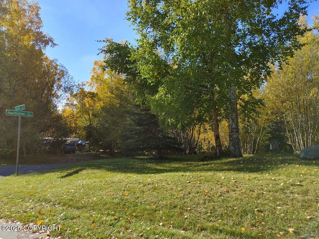 24121 Hearthstone, Chugiak, AK 99567 - photo 4