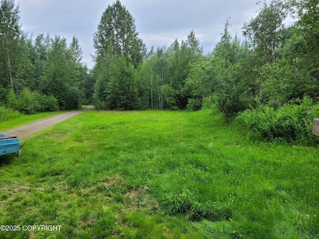 7290 W Island Lake Dr, Wasilla, AK 99623 - photo 15