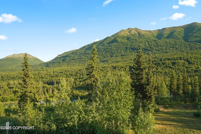 20261 Riverside Dr # 10B, Eagle River, AK 99577 - photo 22
