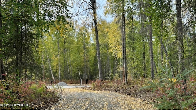 26660 S Talkeetna Spur Rd, Talkeetna, AK 99676 - photo 1