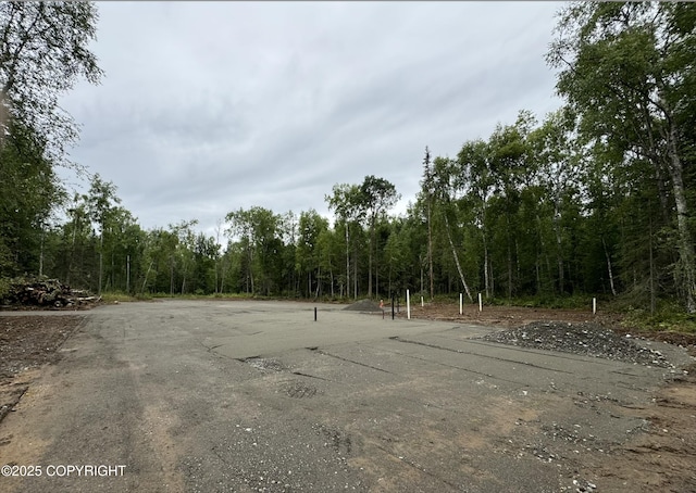 26660 S Talkeetna Spur Rd, Talkeetna, AK 99676 - photo 2