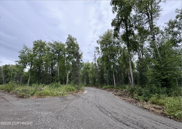 26660 S Talkeetna Spur Rd, Talkeetna, AK 99676 - photo 6