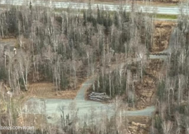 26660 S Talkeetna Spur Rd, Talkeetna, AK 99676 - photo 9