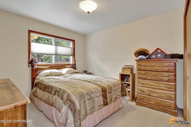 6950 Tamir Ave, Anchorage, AK 99504 - photo 15
