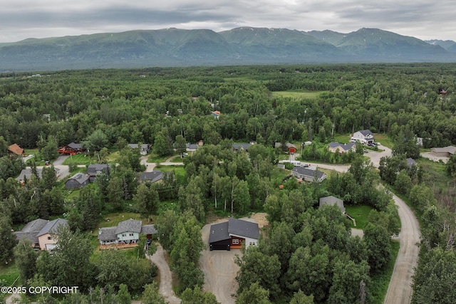1815 E Caribou Loop, Wasilla, AK 99654 - photo 42