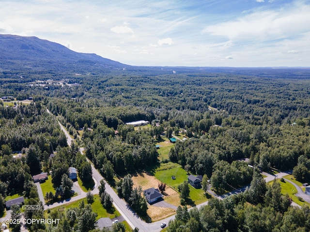 22364 Glacier Vista Rd, Chugiak, AK 99567 - photo 53
