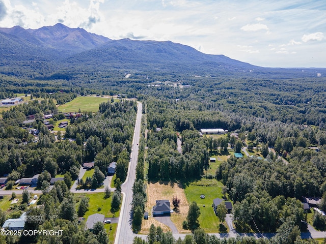 22364 Glacier Vista Rd, Chugiak, AK 99567 - photo 54