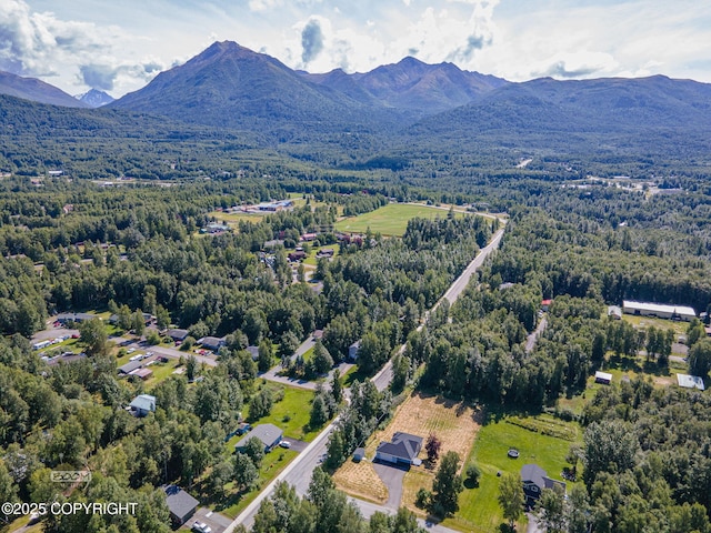 22364 Glacier Vista Rd, Chugiak, AK 99567 - photo 55