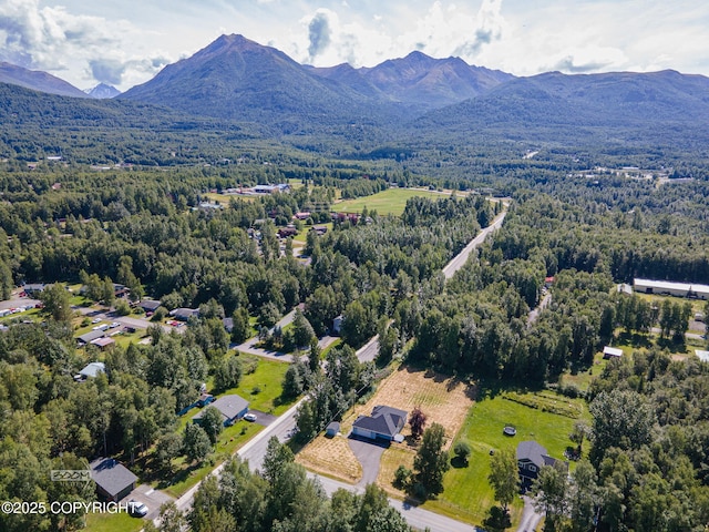 22364 Glacier Vista Rd, Chugiak, AK 99567 - photo 56