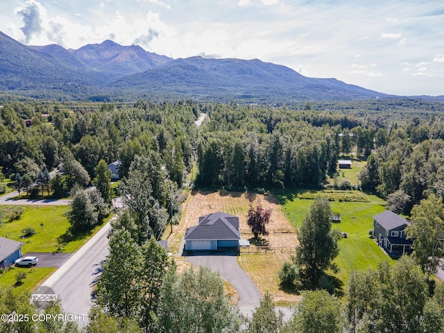 22364 Glacier Vista Rd, Chugiak, AK 99567 - photo 57