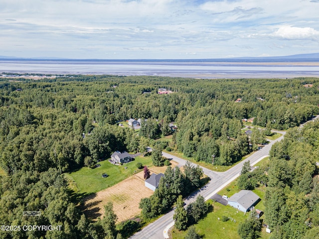 22364 Glacier Vista Rd, Chugiak, AK 99567 - photo 59