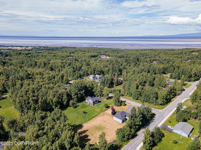 22364 Glacier Vista Rd, Chugiak, AK 99567 - photo 60