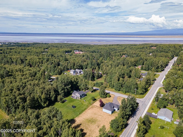22364 Glacier Vista Rd, Chugiak, AK 99567 - photo 61