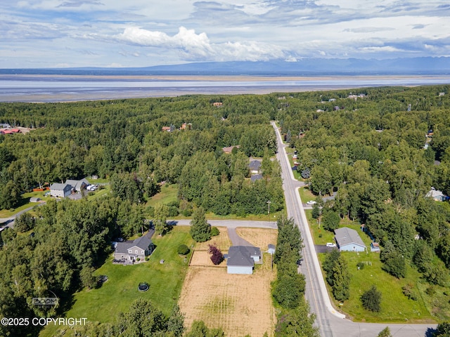 22364 Glacier Vista Rd, Chugiak, AK 99567 - photo 62
