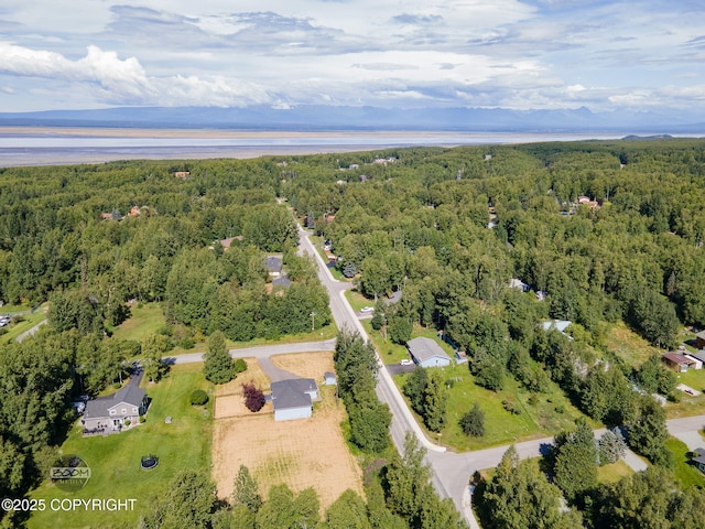 22364 Glacier Vista Rd, Chugiak, AK 99567 - photo 64