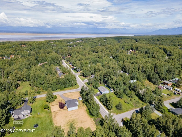 22364 Glacier Vista Rd, Chugiak, AK 99567 - photo 65