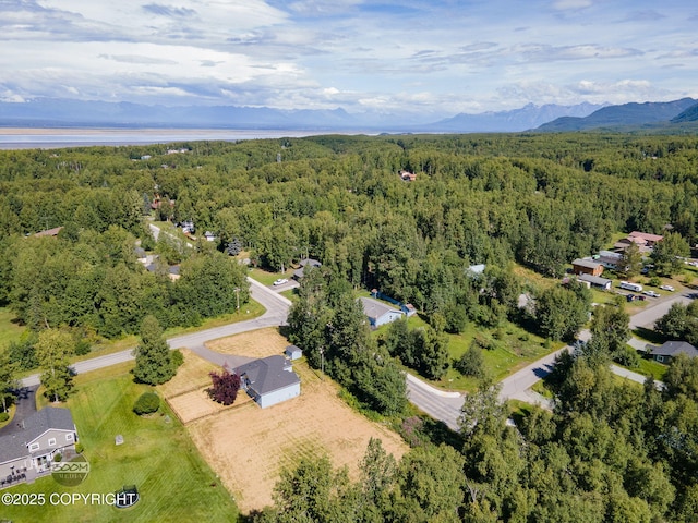 22364 Glacier Vista Rd, Chugiak, AK 99567 - photo 66