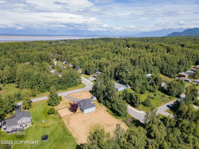 22364 Glacier Vista Rd, Chugiak, AK 99567 - photo 67