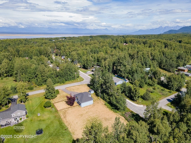 22364 Glacier Vista Rd, Chugiak, AK 99567 - photo 68