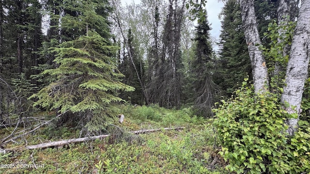 391 Turnbuckle Terrace Rd, Soldotna, AK 99669 - photo 5