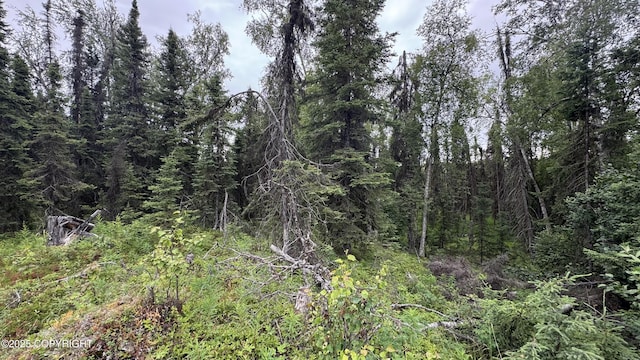 391 Turnbuckle Terrace Rd, Soldotna, AK 99669 - photo 12