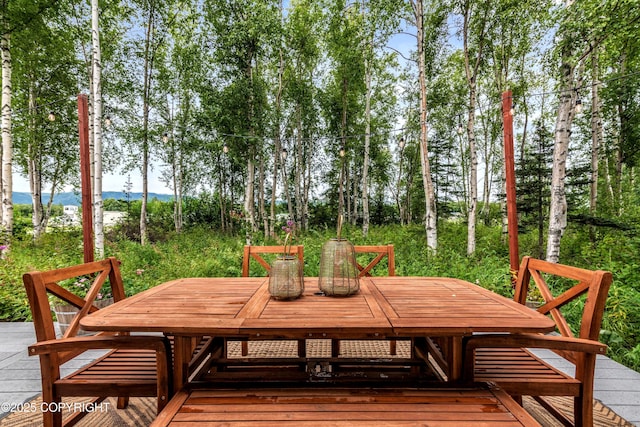 6575 E Robinson Cir, Wasilla, AK 99654 - photo 22
