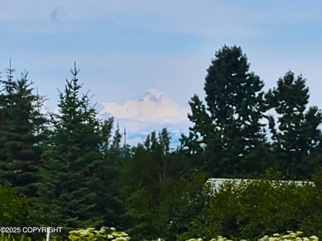 64111 Nikolaevsk Rd, Nikolaevsk, AK 99556 - photo 2