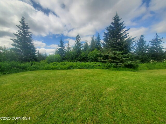 64111 Nikolaevsk Rd, Nikolaevsk, AK 99556 - photo 4