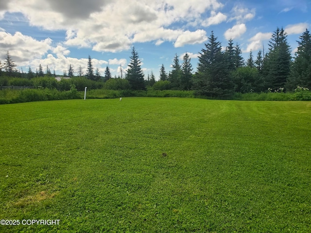 64111 Nikolaevsk Rd, Nikolaevsk, AK 99556 - photo 25