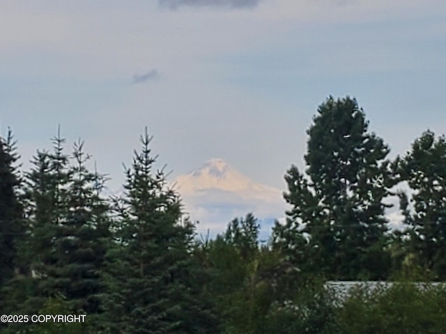 64111 Nikolaevsk Rd, Nikolaevsk, AK 99556 - photo 27