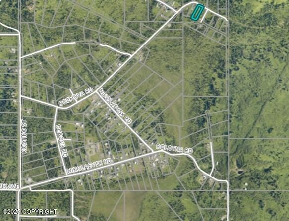 64111 Nikolaevsk Rd, Nikolaevsk, AK 99556 - photo 28