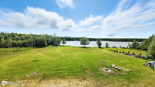 4730 W Lakeside Dr, Wasilla, AK 99623 - photo 79