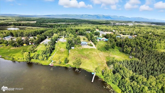 4730 W Lakeside Dr, Wasilla, AK 99623 - photo 83