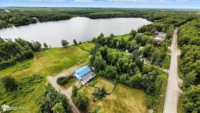 4730 W Lakeside Dr, Wasilla, AK 99623 - photo 89