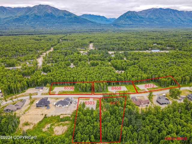 LOT6BLK4 E Windy Woods Loop, Palmer, AK 99645 - photo 1