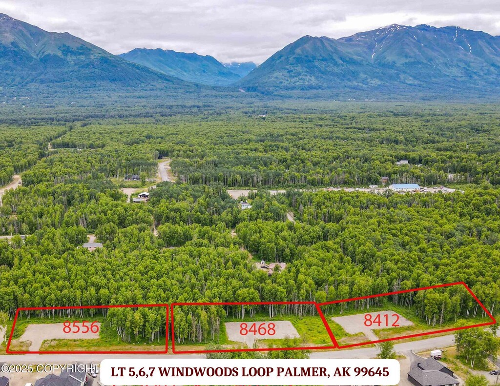 8556 E Windy Woods Loop, Palmer, AK 99645 - photo 2