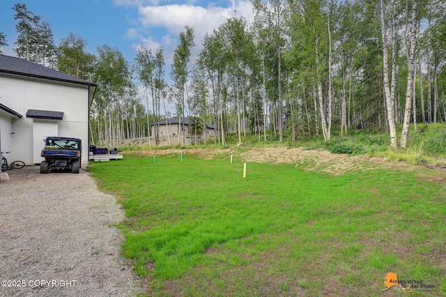 5235 W Hidden Paradise Rd, Wasilla, AK 99654 - photo 49