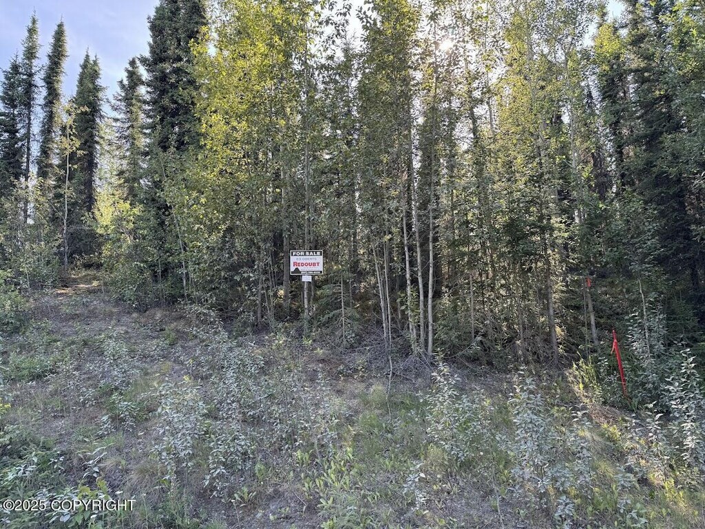 8D2 Lake Rd, Soldotna, AK 99669 - photo 1