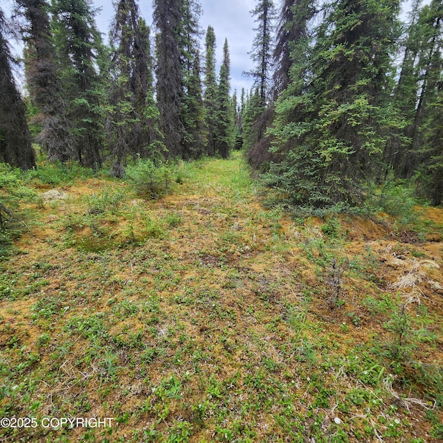 L3 Glacier Ave, Sterling, AK 99672 - photo 23