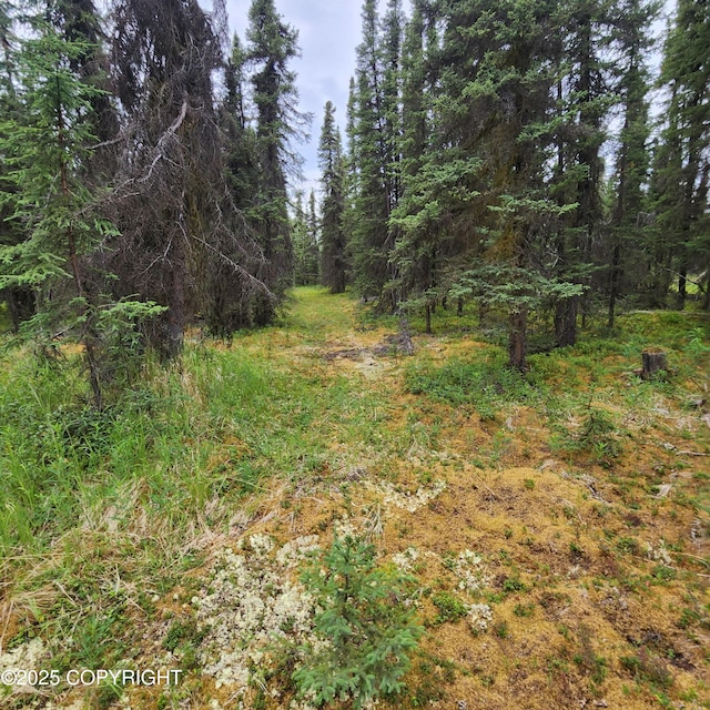 L3 Glacier Ave, Sterling, AK 99672 - photo 24