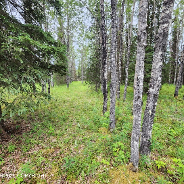 L3 Glacier Ave, Sterling, AK 99672 - photo 4
