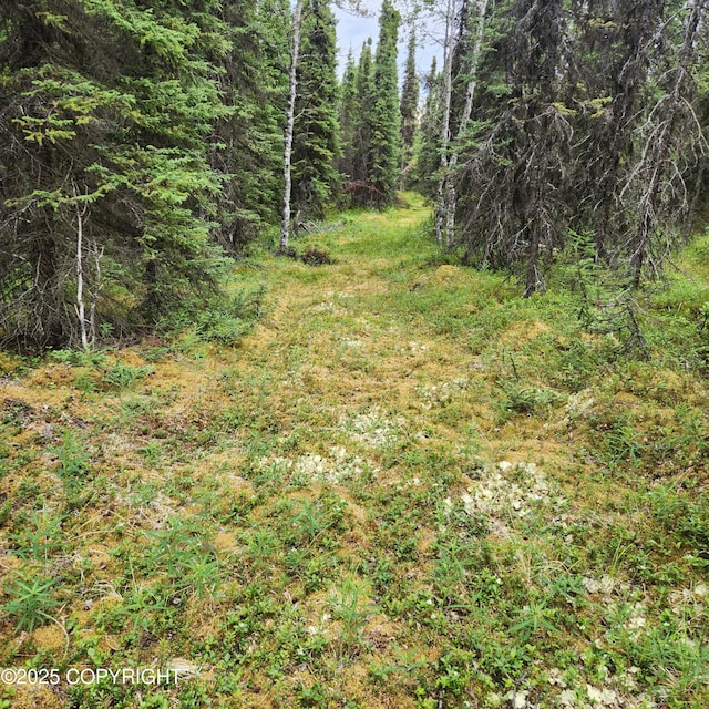 L3 Glacier Ave, Sterling, AK 99672 - photo 26