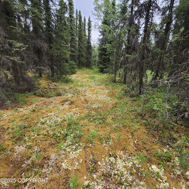 L3 Glacier Ave, Sterling, AK 99672 - photo 27